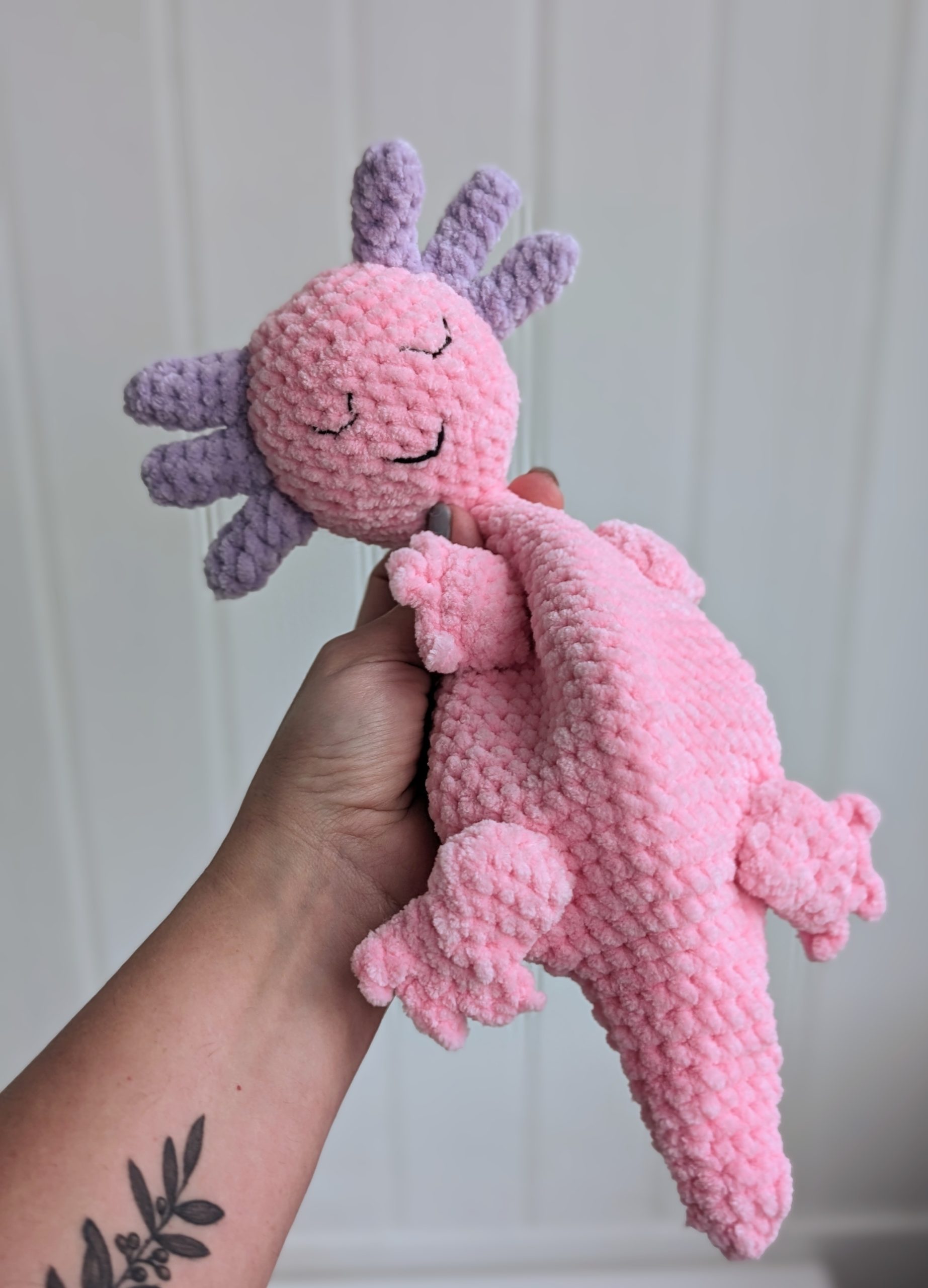 PXL_20231208_102247217.ACTION_PAN-01.COVER~2