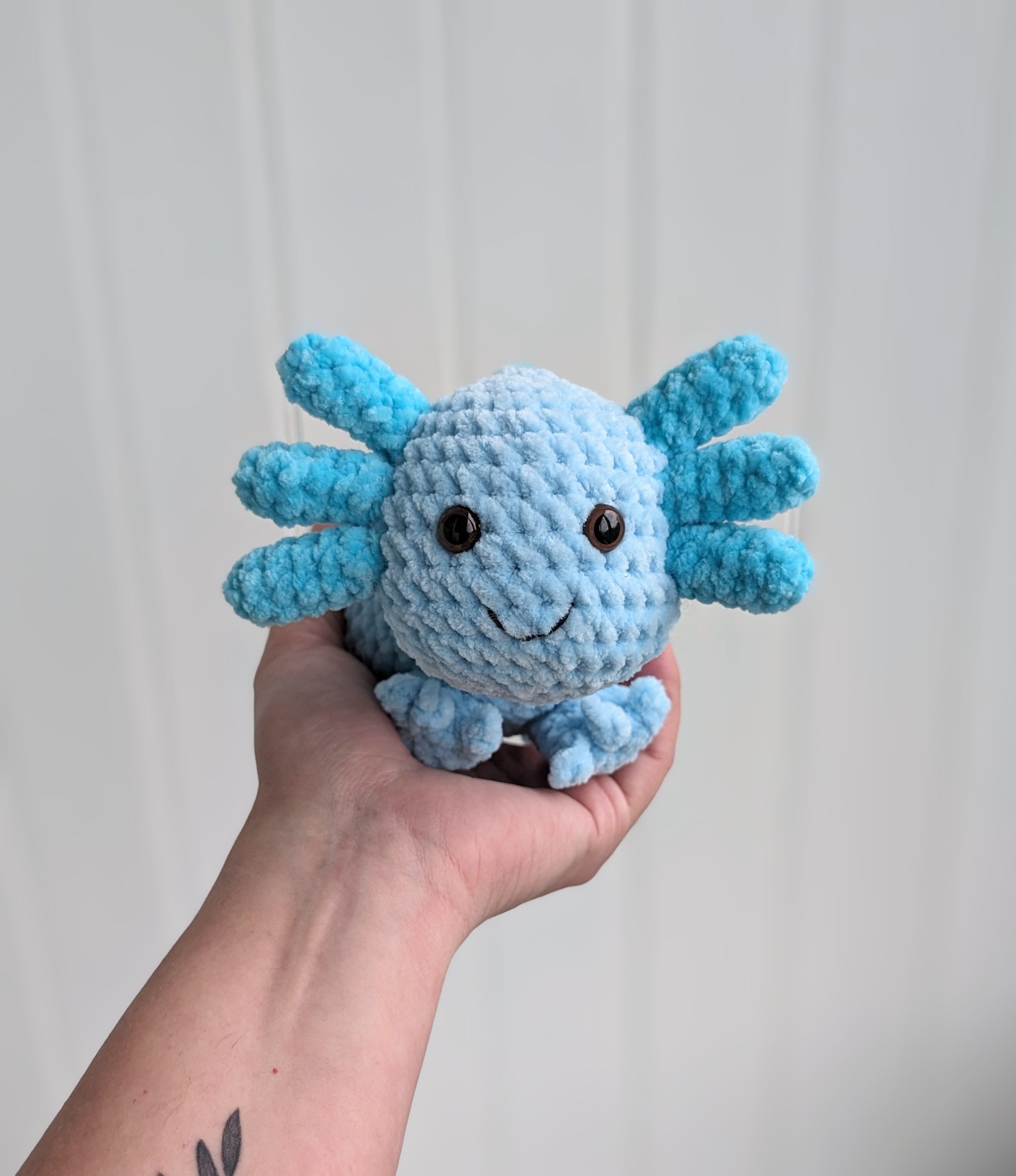 PXL_20231208_102307039.ACTION_PAN~2