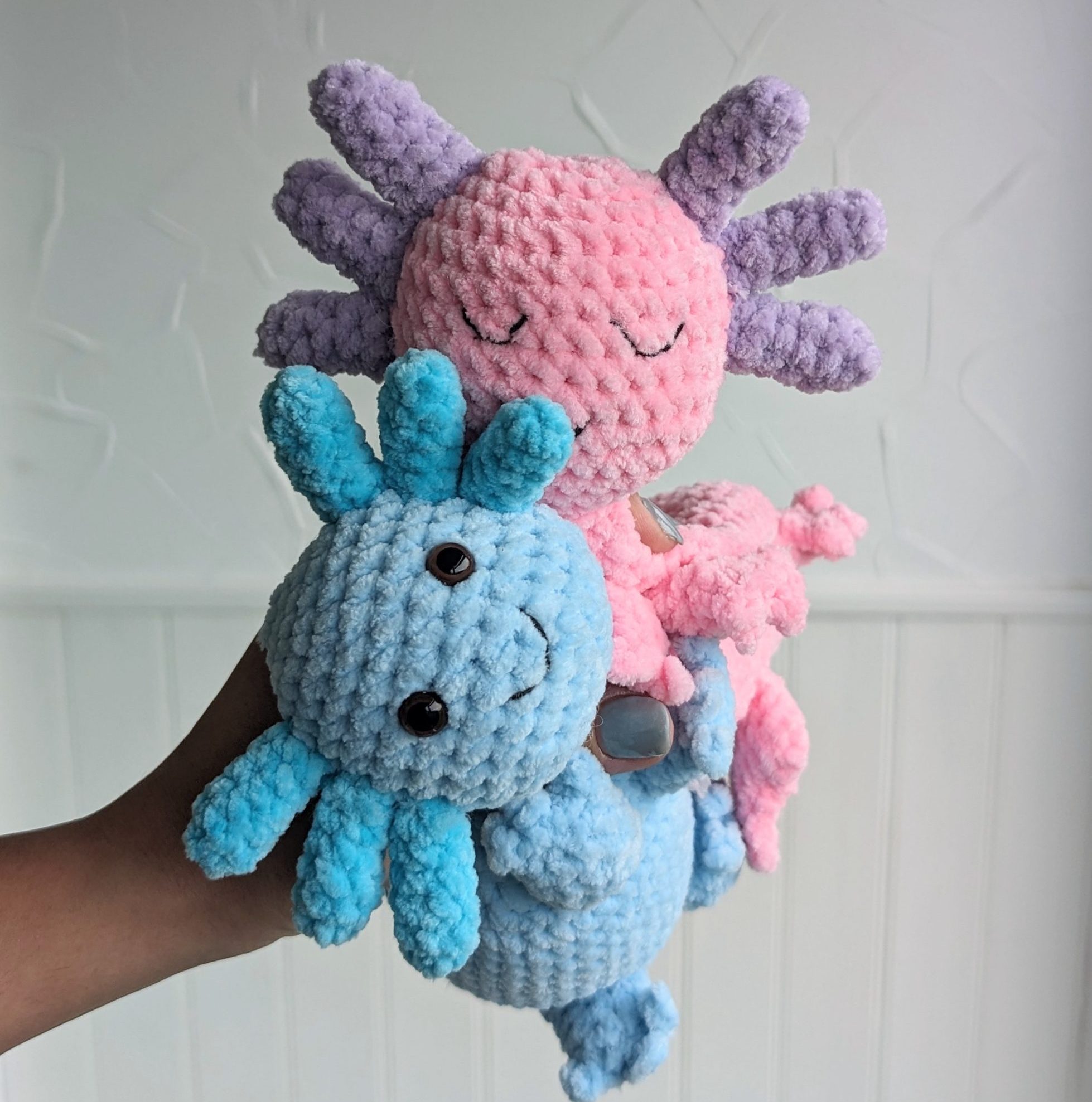 PXL_20231208_102350880.ACTION_PAN-02.ORIGINAL~2